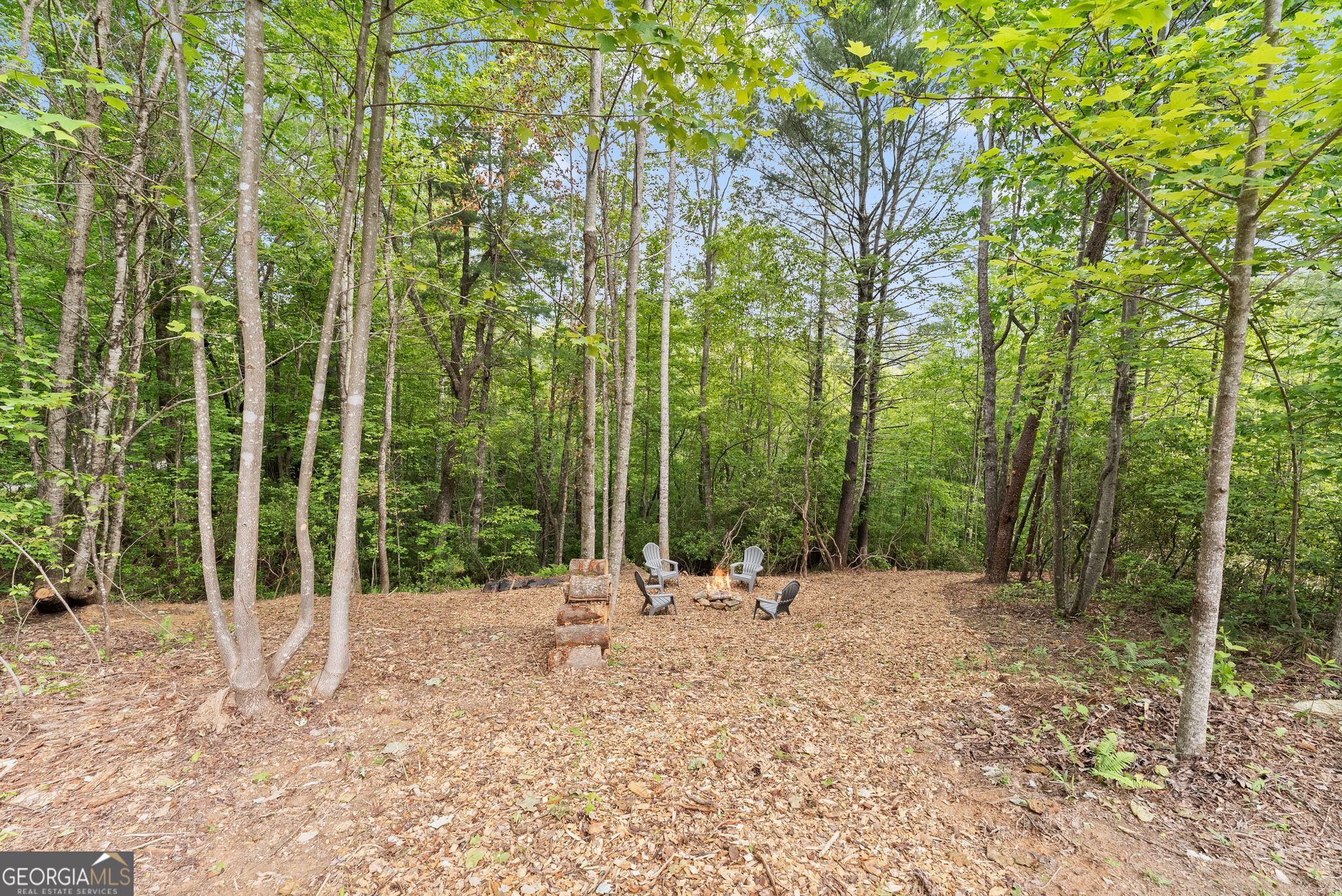 707 S Fern Cove Road Sautee Nacoochee GA 30571