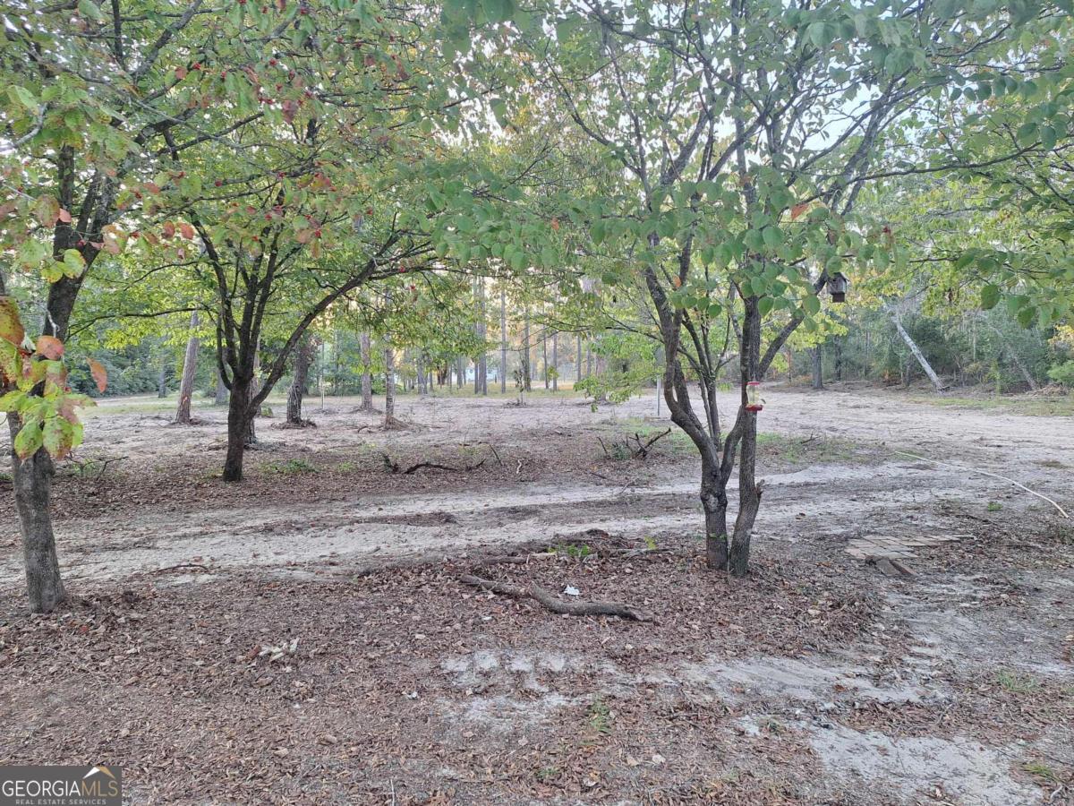 55 Ag Lane Alamo GA 30411