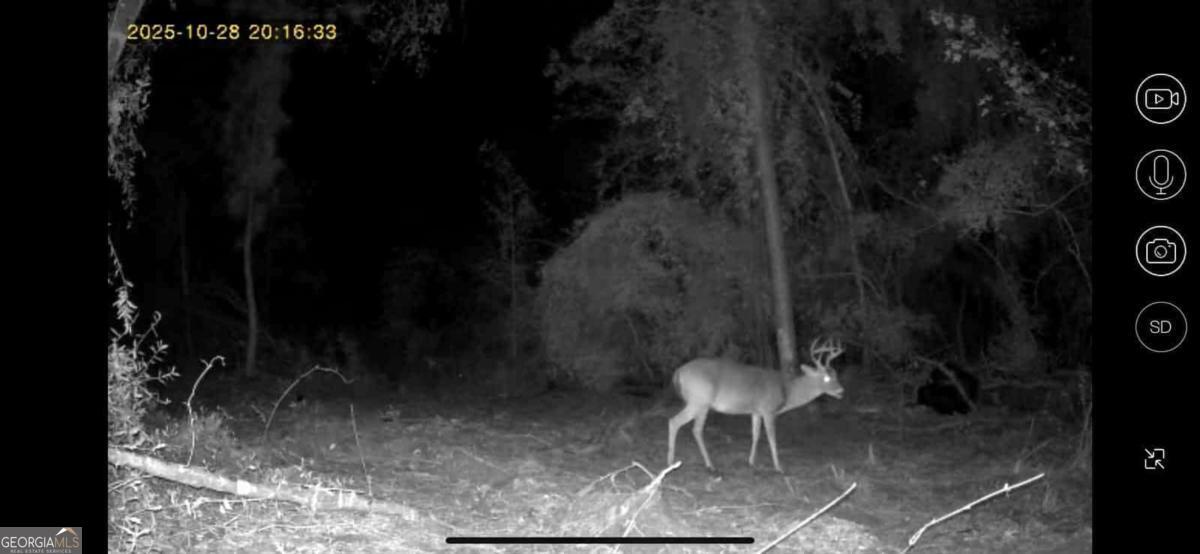 55 Ag Lane Alamo GA 30411