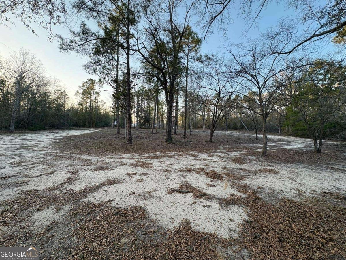 55 Ag Lane Alamo GA 30411