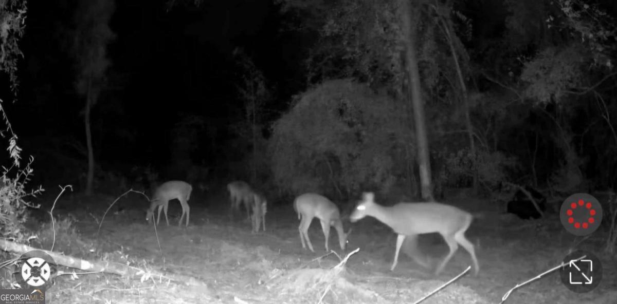 55 Ag Lane Alamo GA 30411
