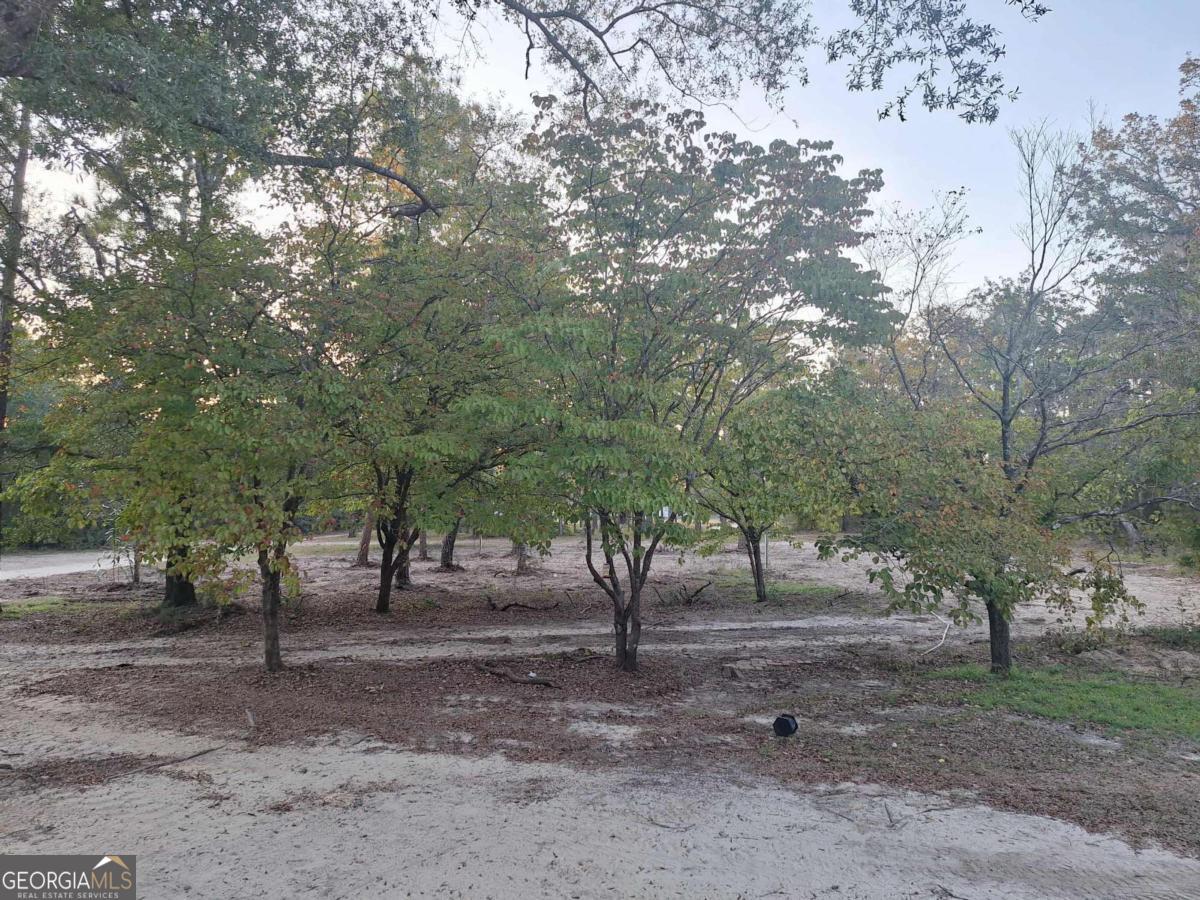 55 Ag Lane Alamo GA 30411