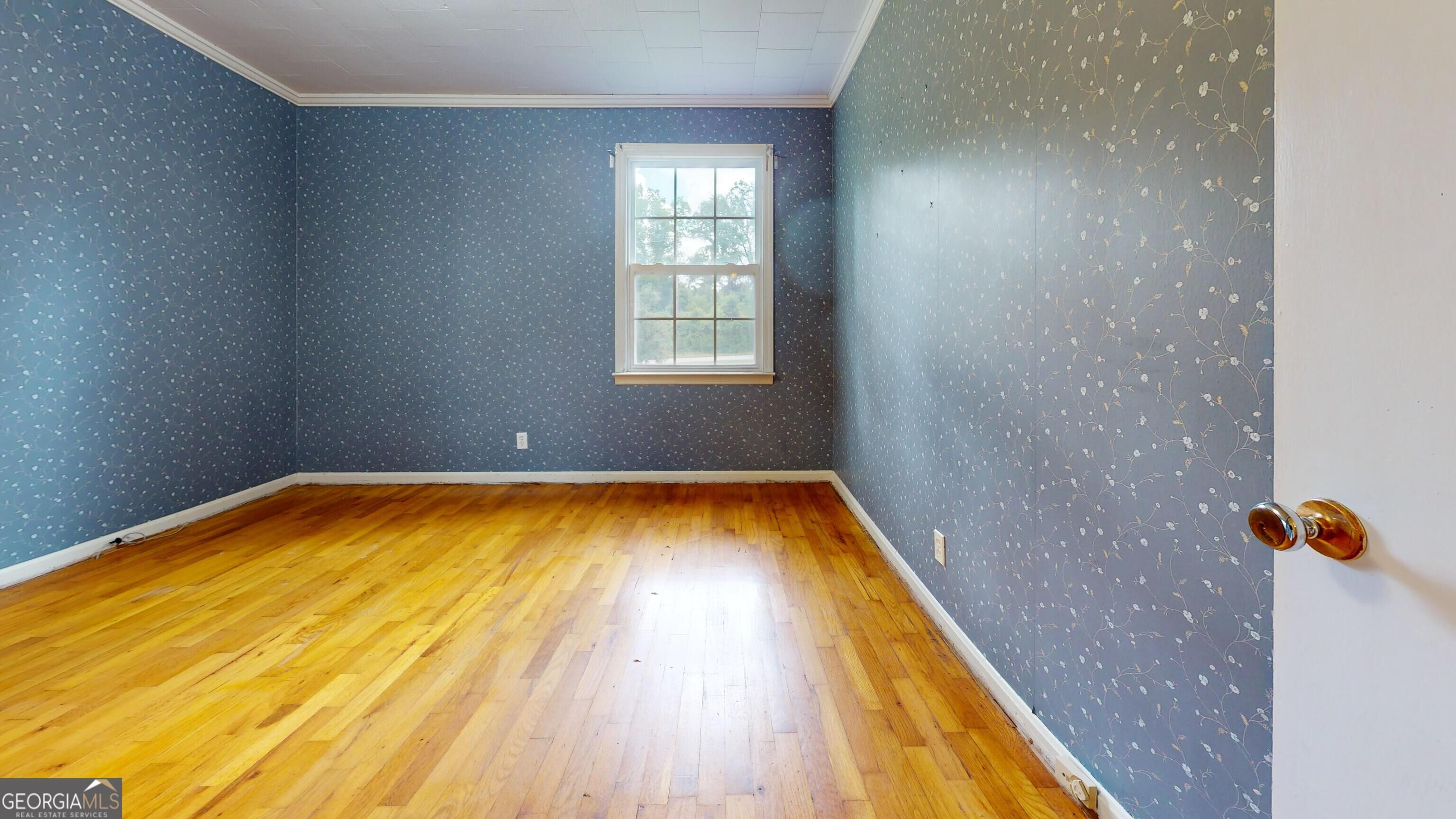 555 Mulberry Street Swainsboro GA 30401