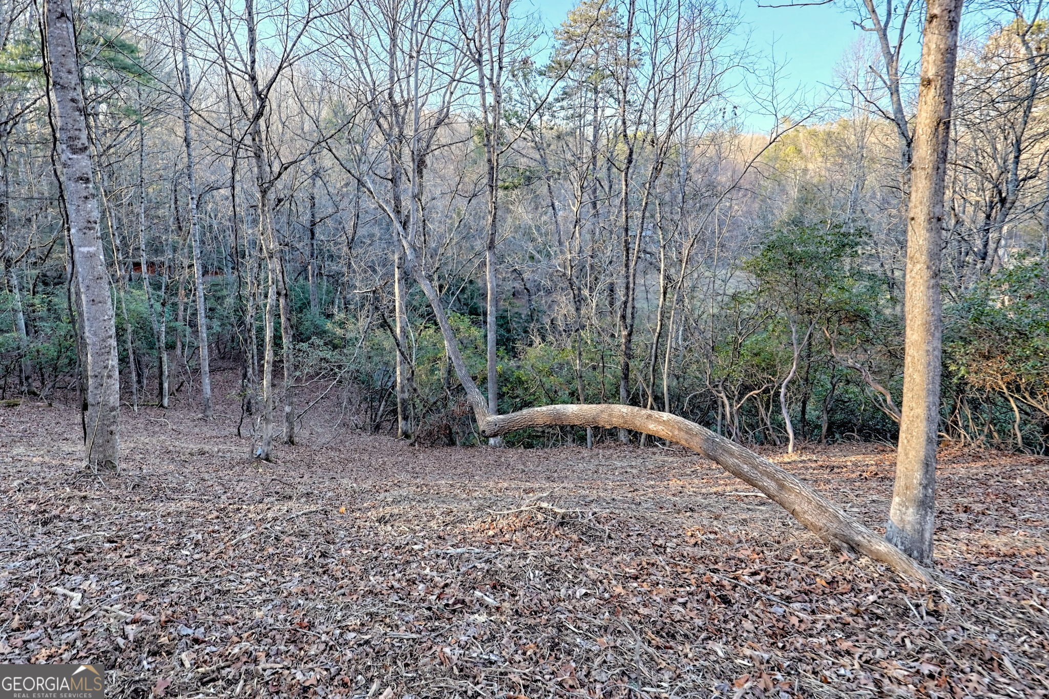 150 Blue Jay Road Clarkesville GA 30523