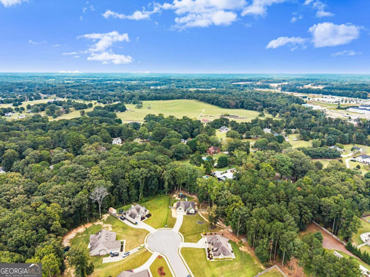 59 Arbor Point Bethlehem GA 30620