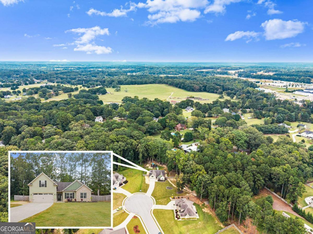 59 Arbor Point Bethlehem GA 30620