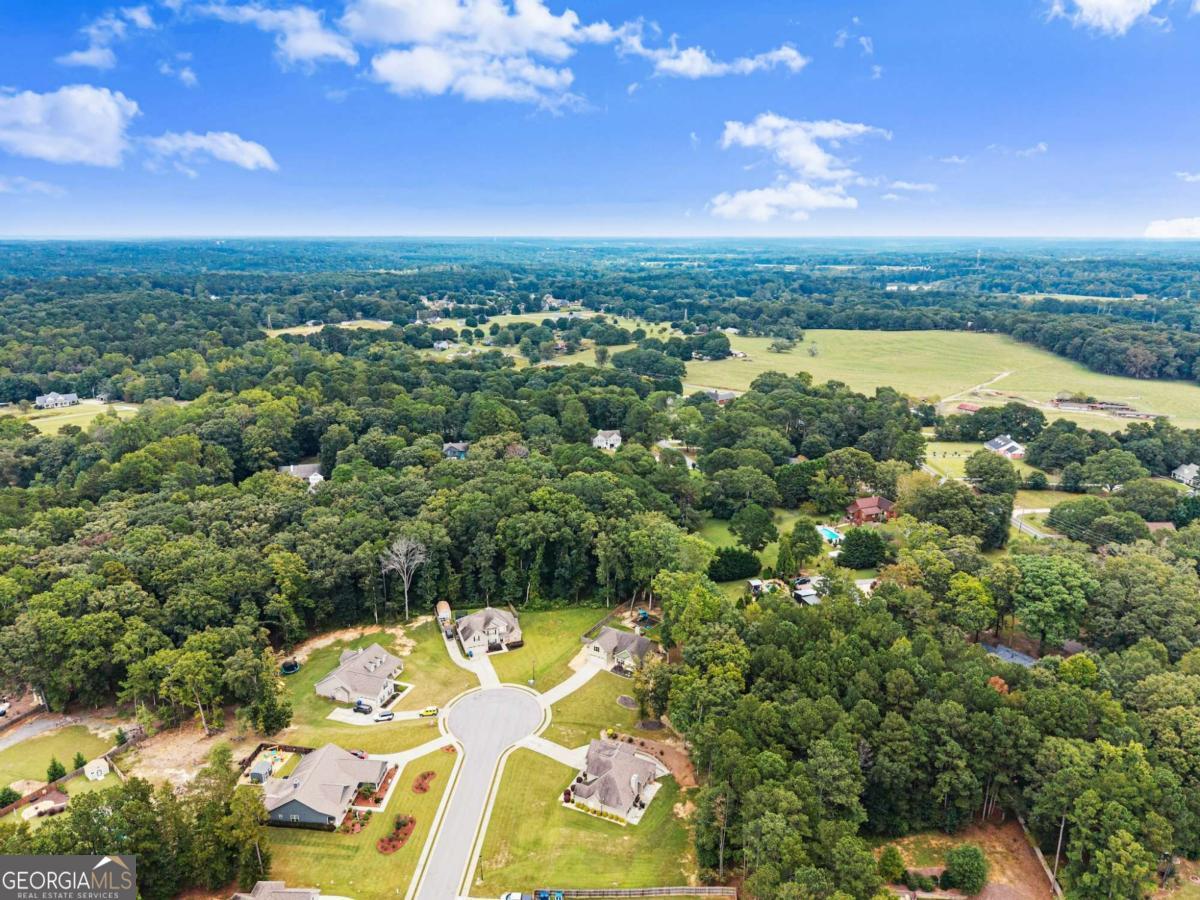 59 Arbor Point Bethlehem GA 30620
