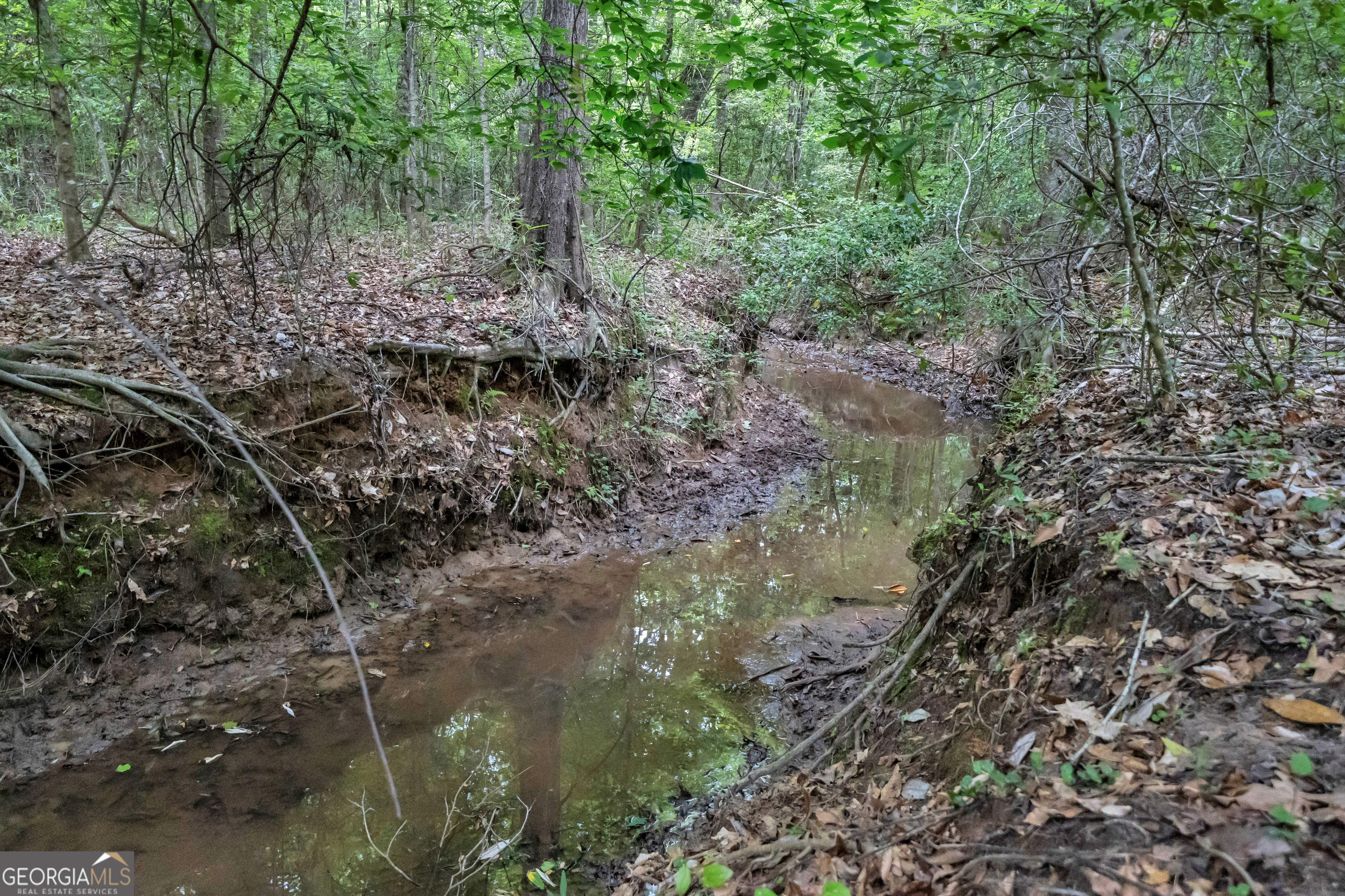 203 Gas Line Road Cuthbert GA 39840