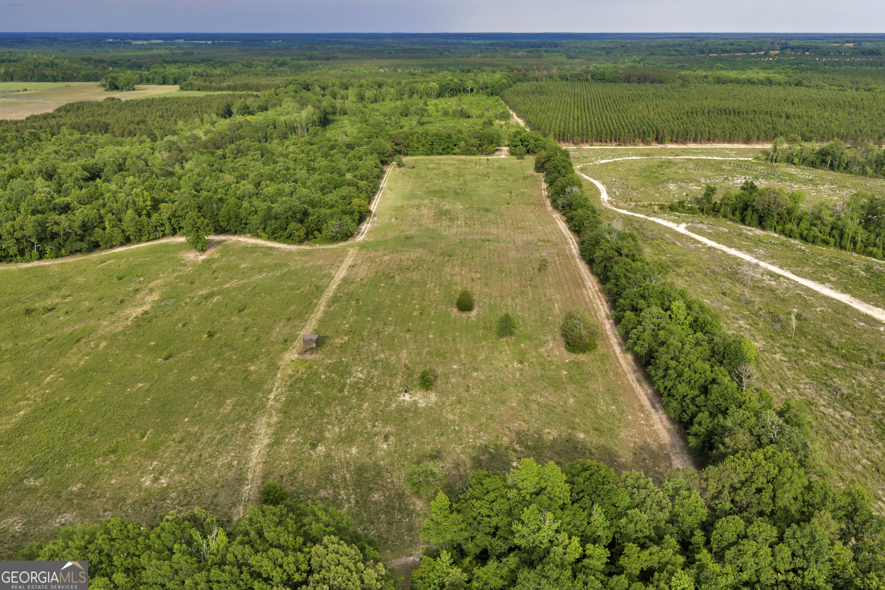 203 Gas Line Road Cuthbert GA 39840