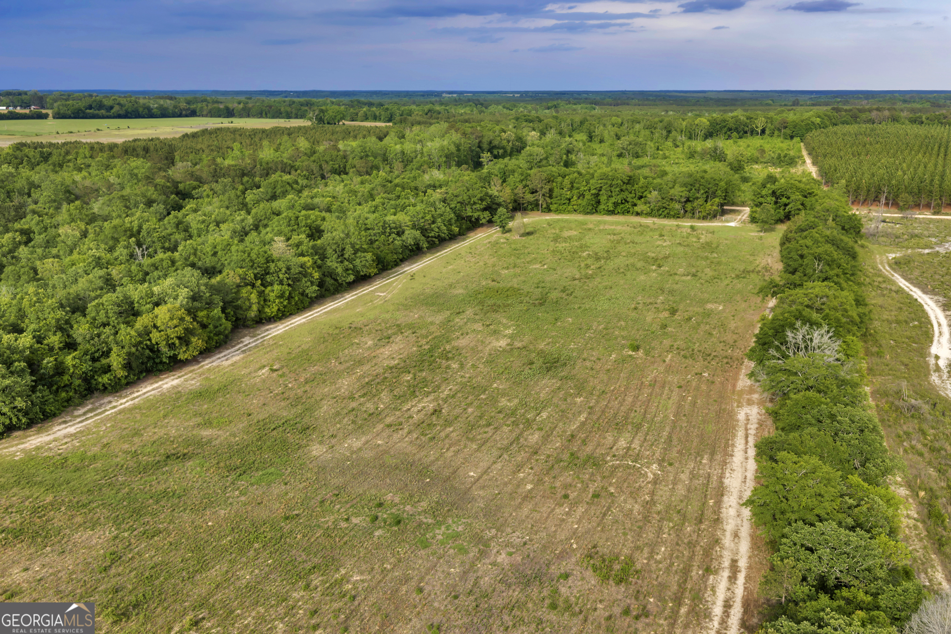 203 Gas Line Road Cuthbert GA 39840