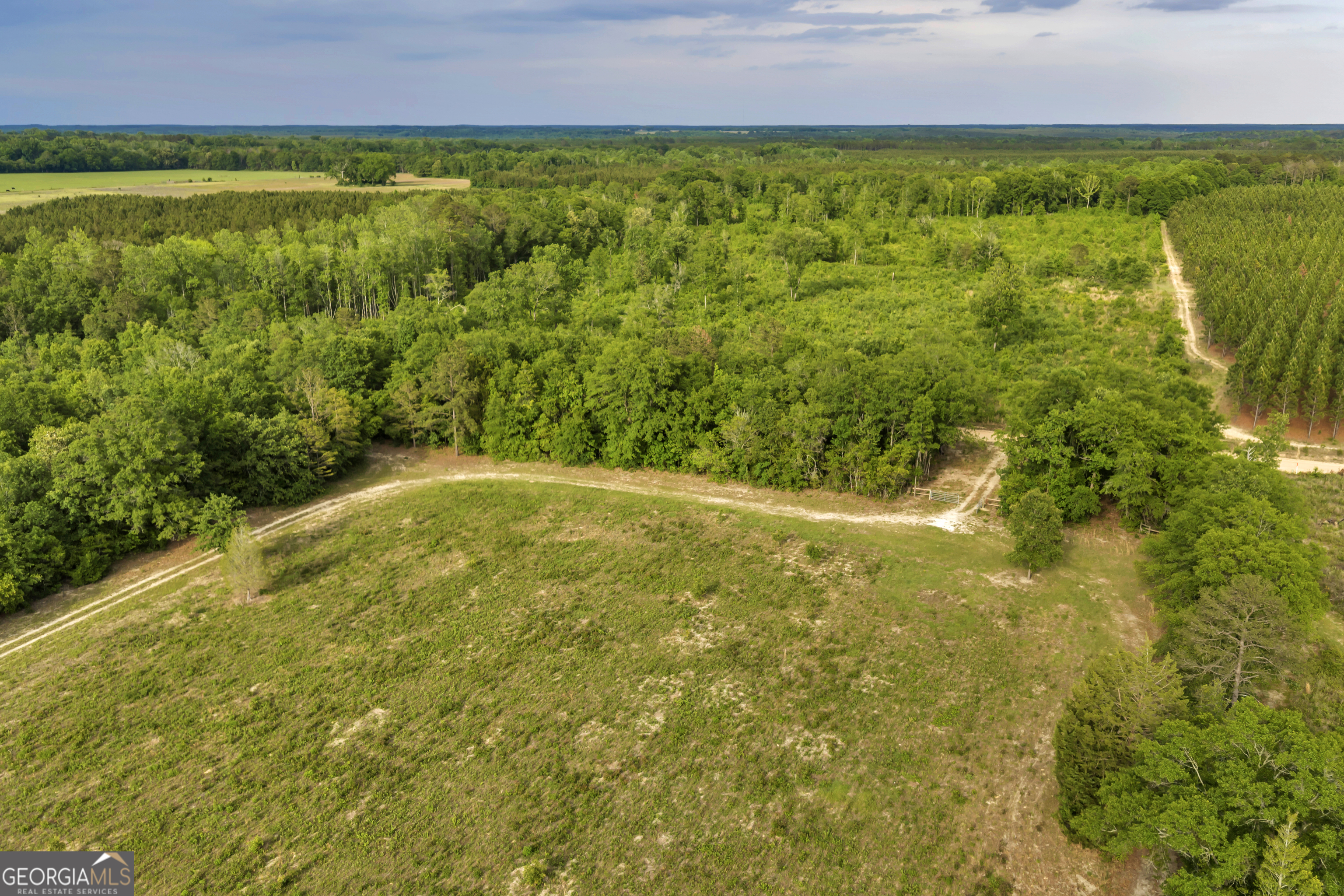 203 Gas Line Road Cuthbert GA 39840