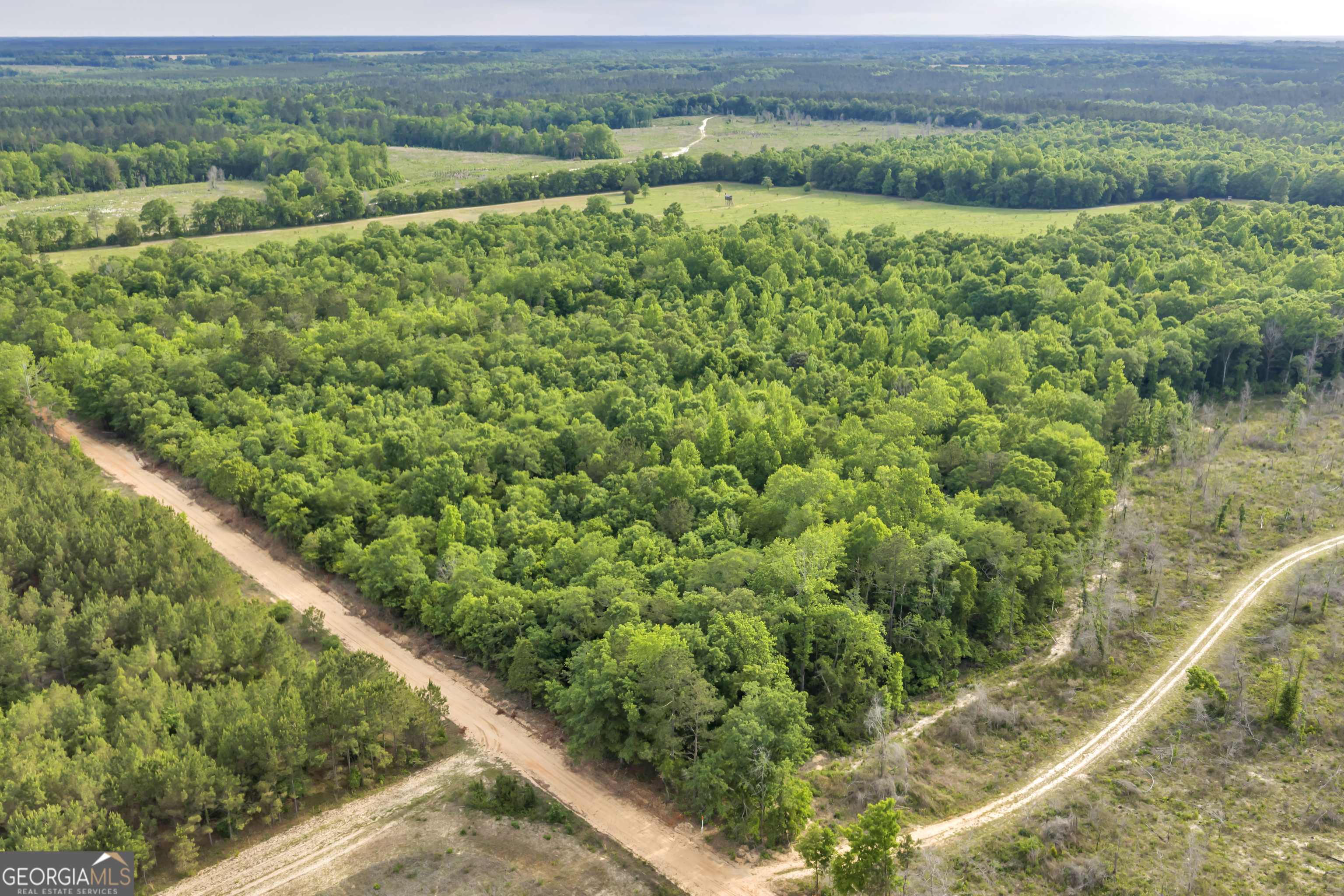 203 Gas Line Road Cuthbert GA 39840