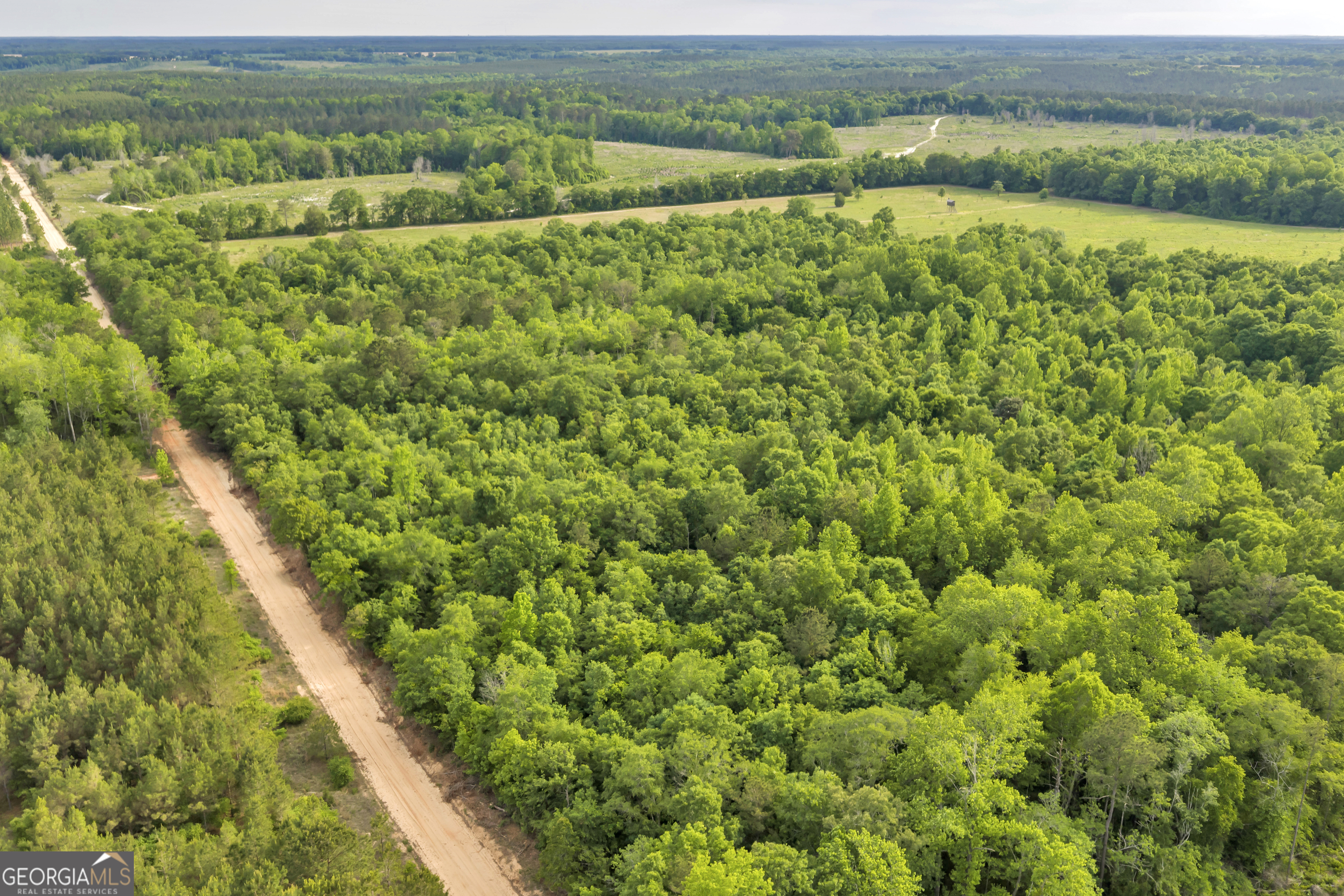 203 Gas Line Road Cuthbert GA 39840
