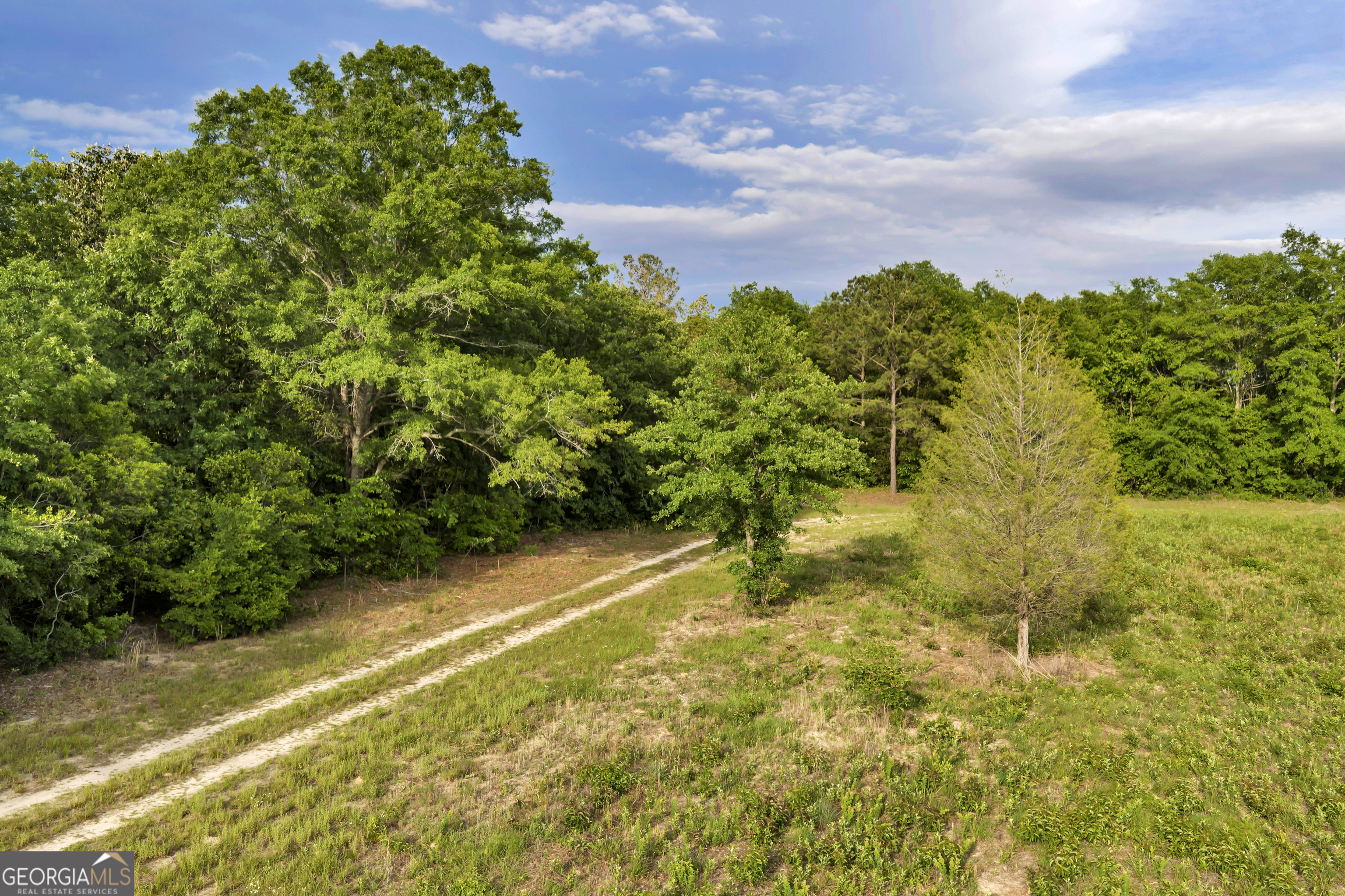 203 Gas Line Road Cuthbert GA 39840