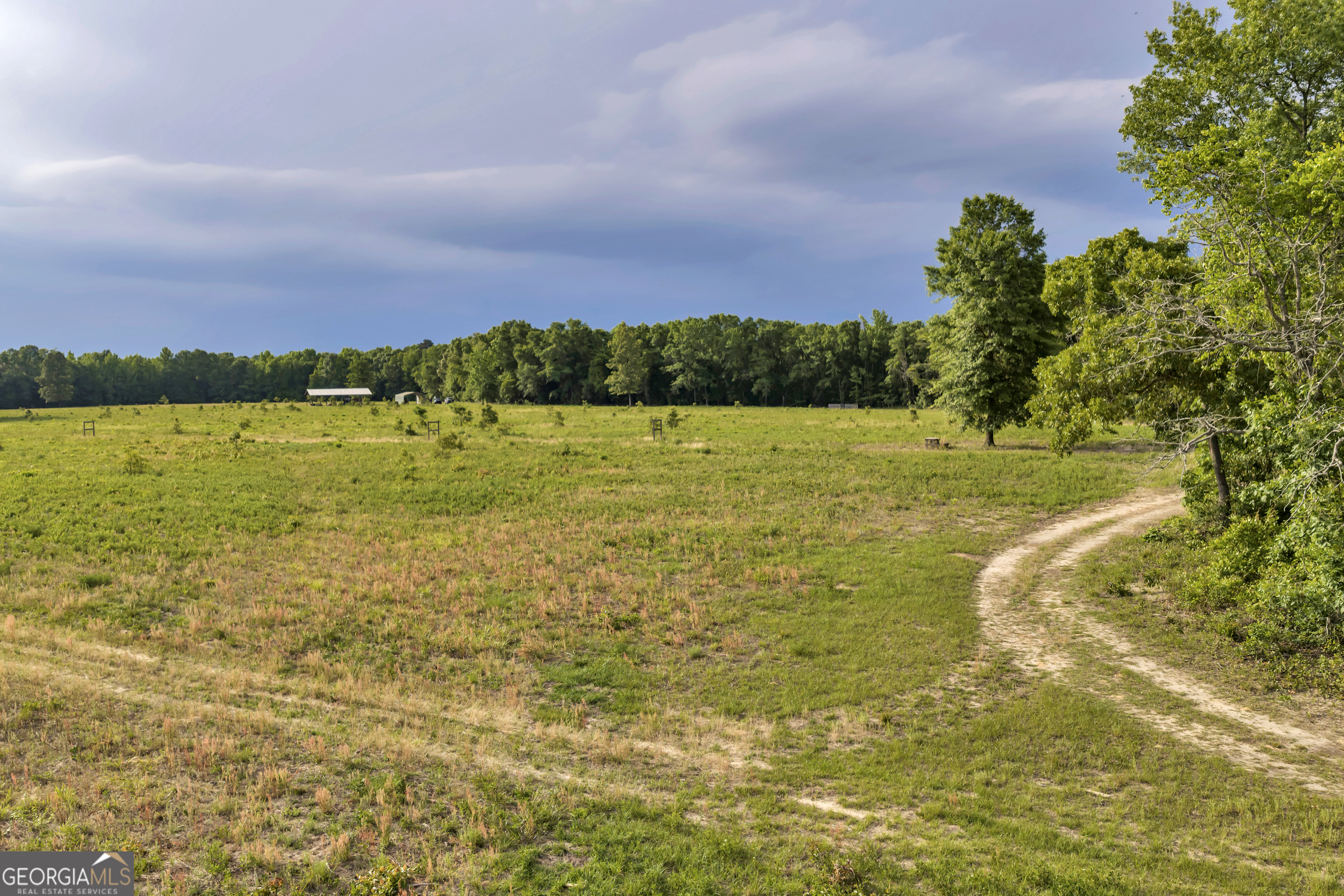 203 Gas Line Road Cuthbert GA 39840