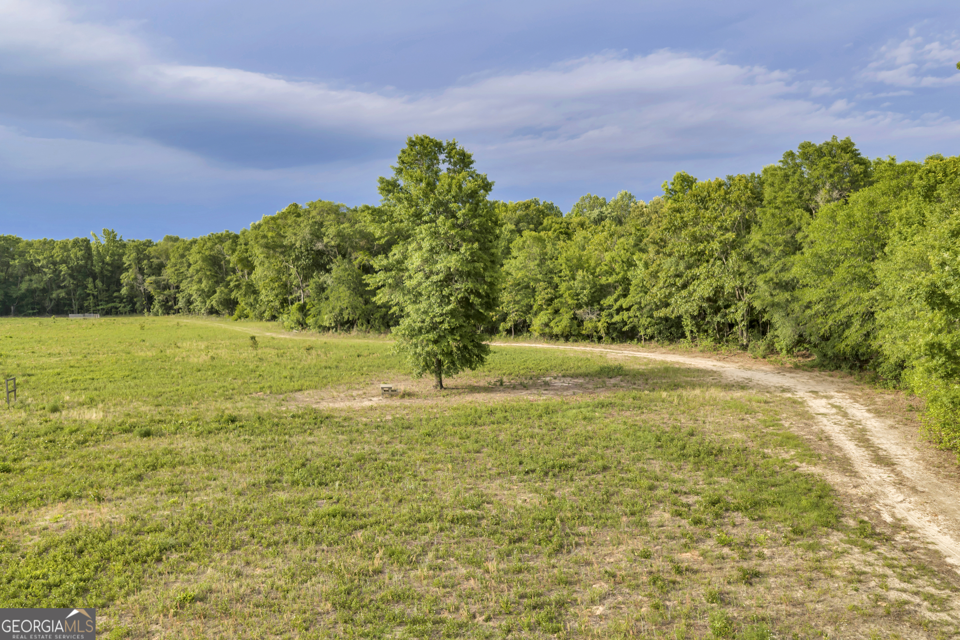 203 Gas Line Road Cuthbert GA 39840