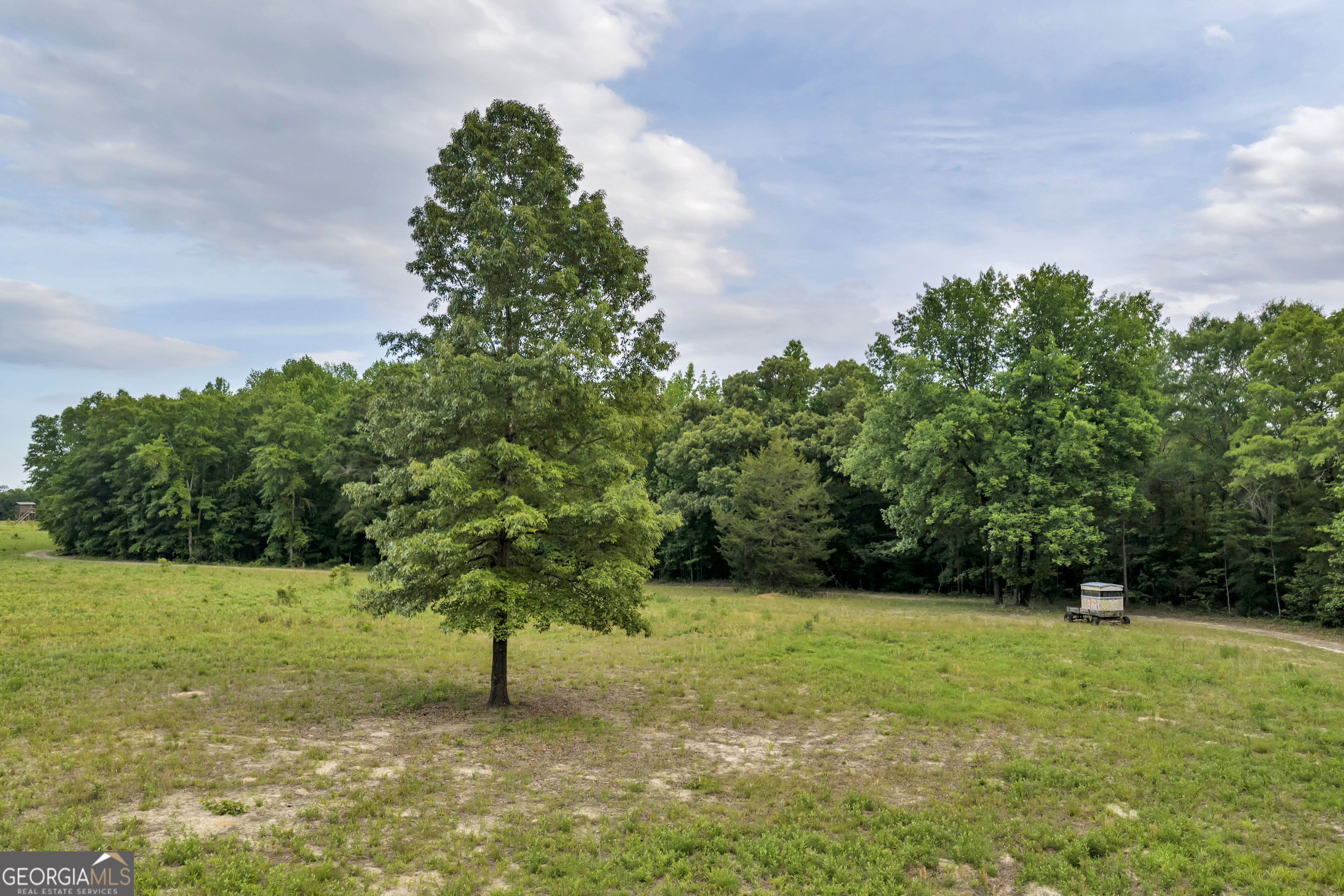 203 Gas Line Road Cuthbert GA 39840