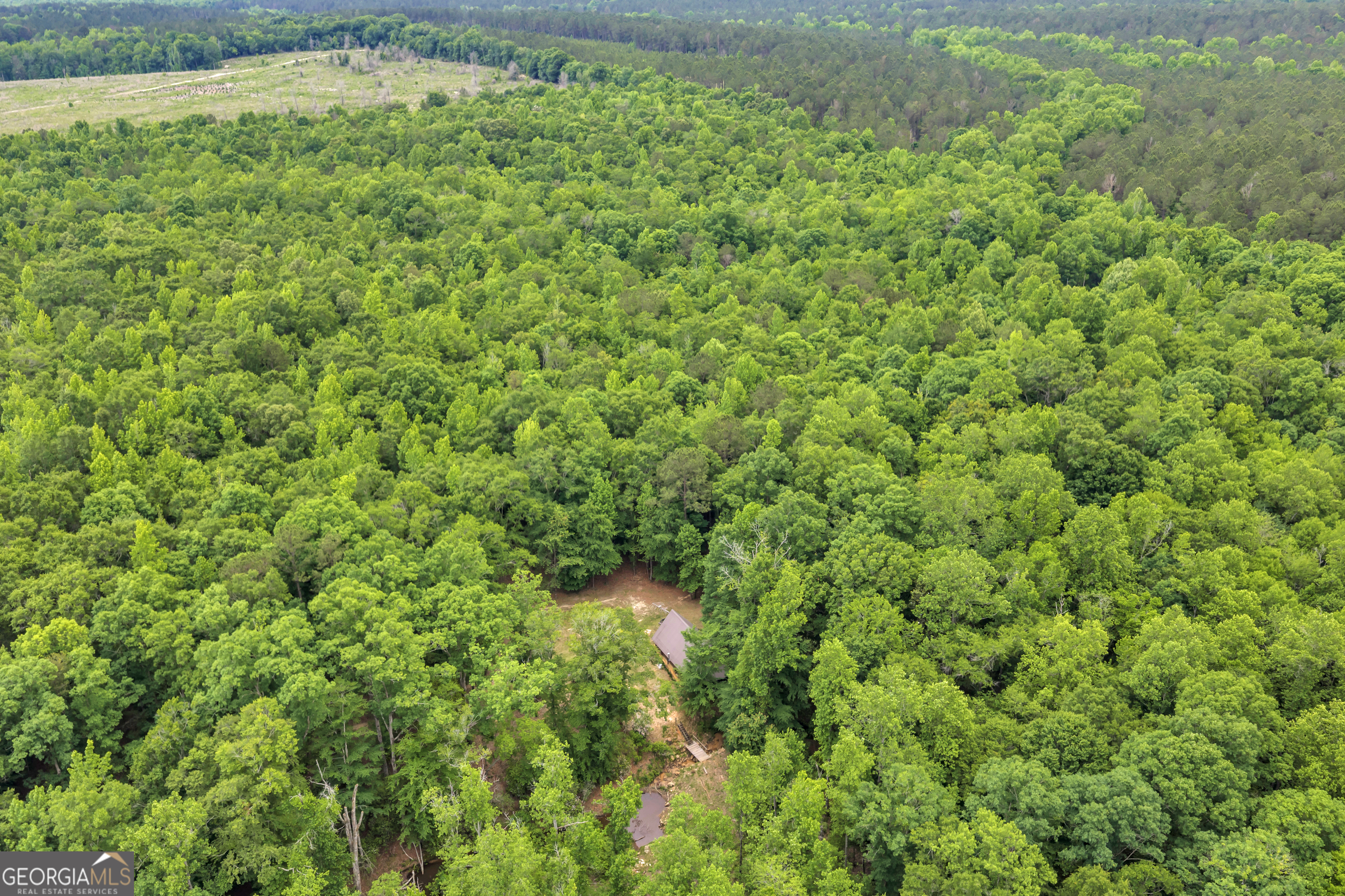 203 Gas Line Road Cuthbert GA 39840