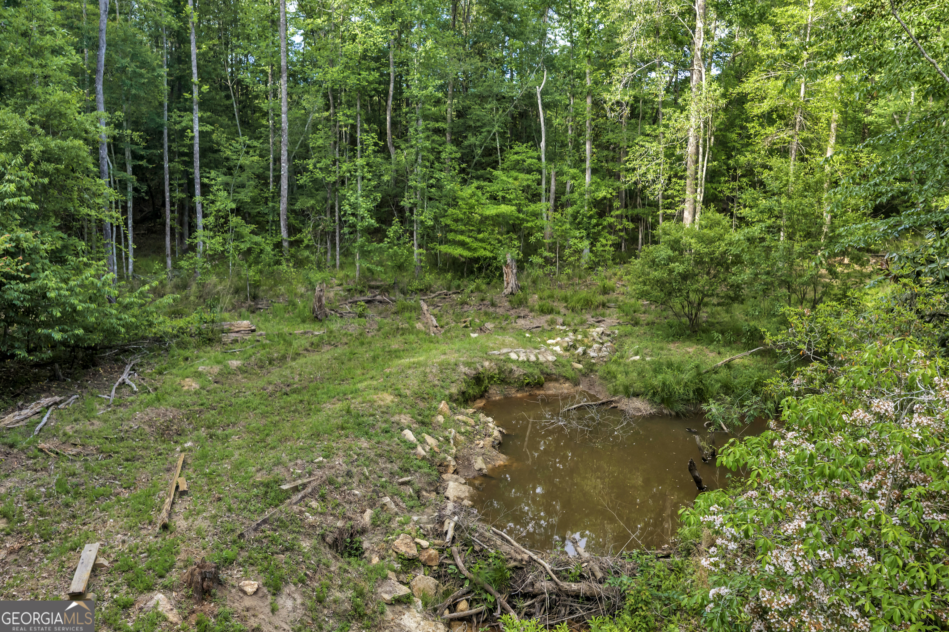 203 Gas Line Road Cuthbert GA 39840