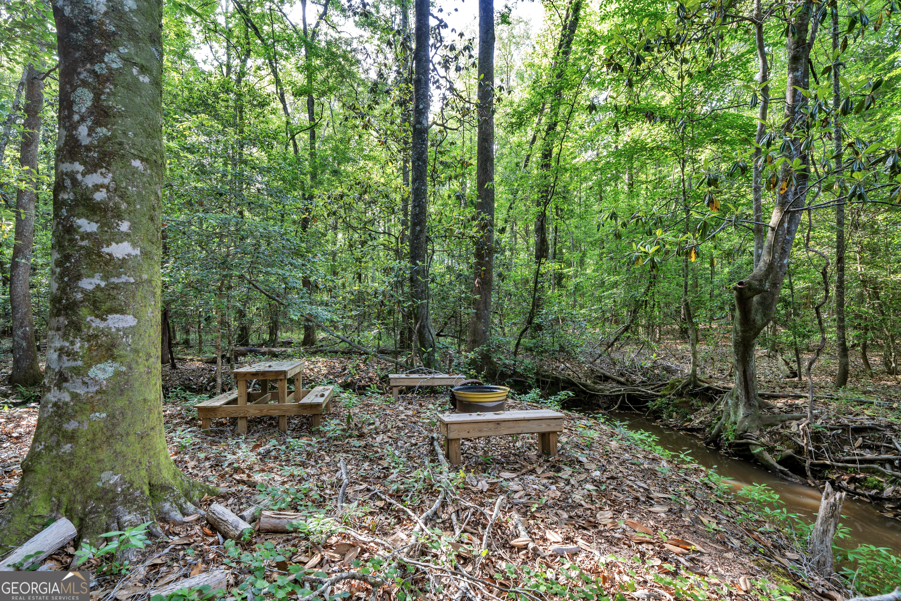 203 Gas Line Road Cuthbert GA 39840