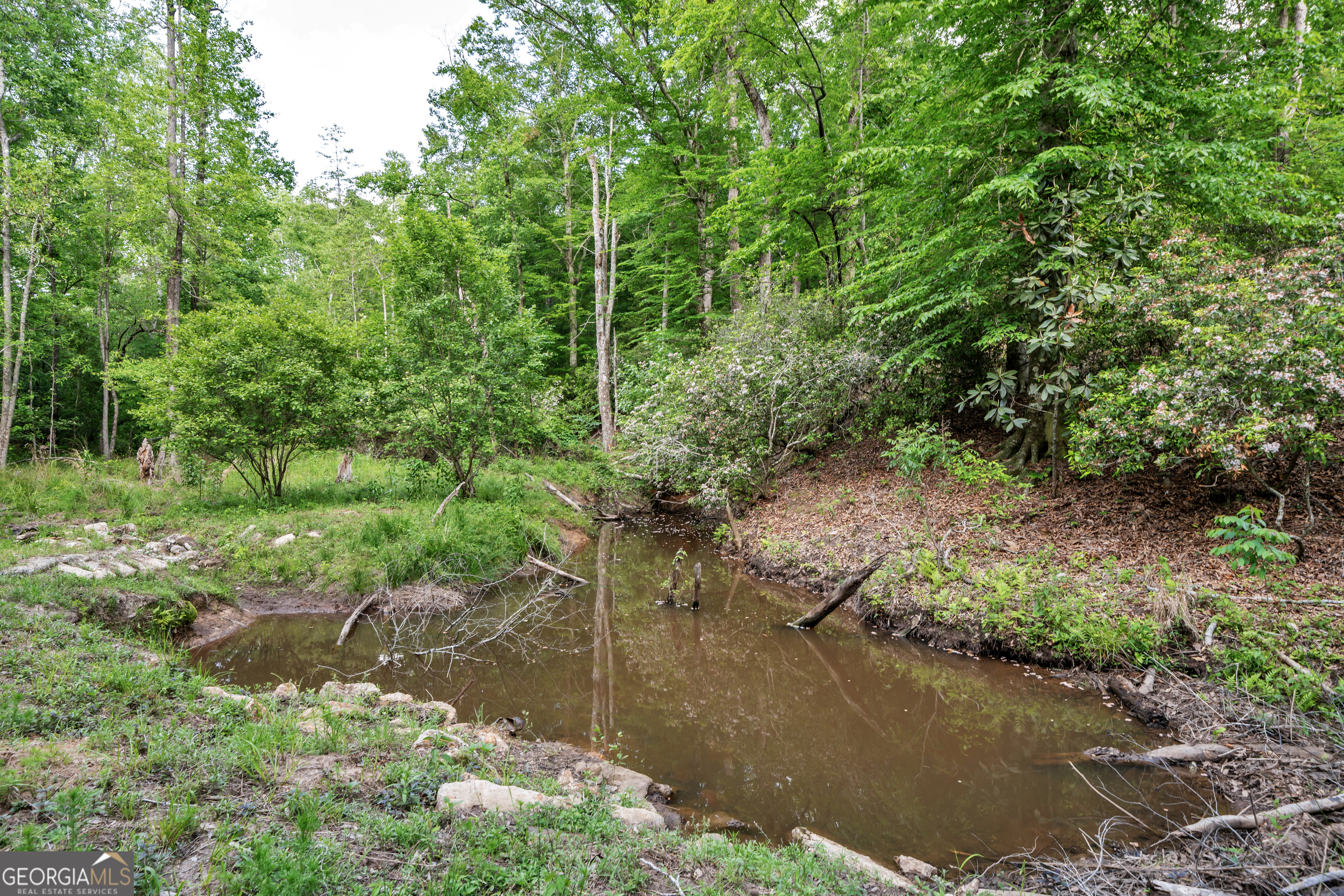 203 Gas Line Road Cuthbert GA 39840