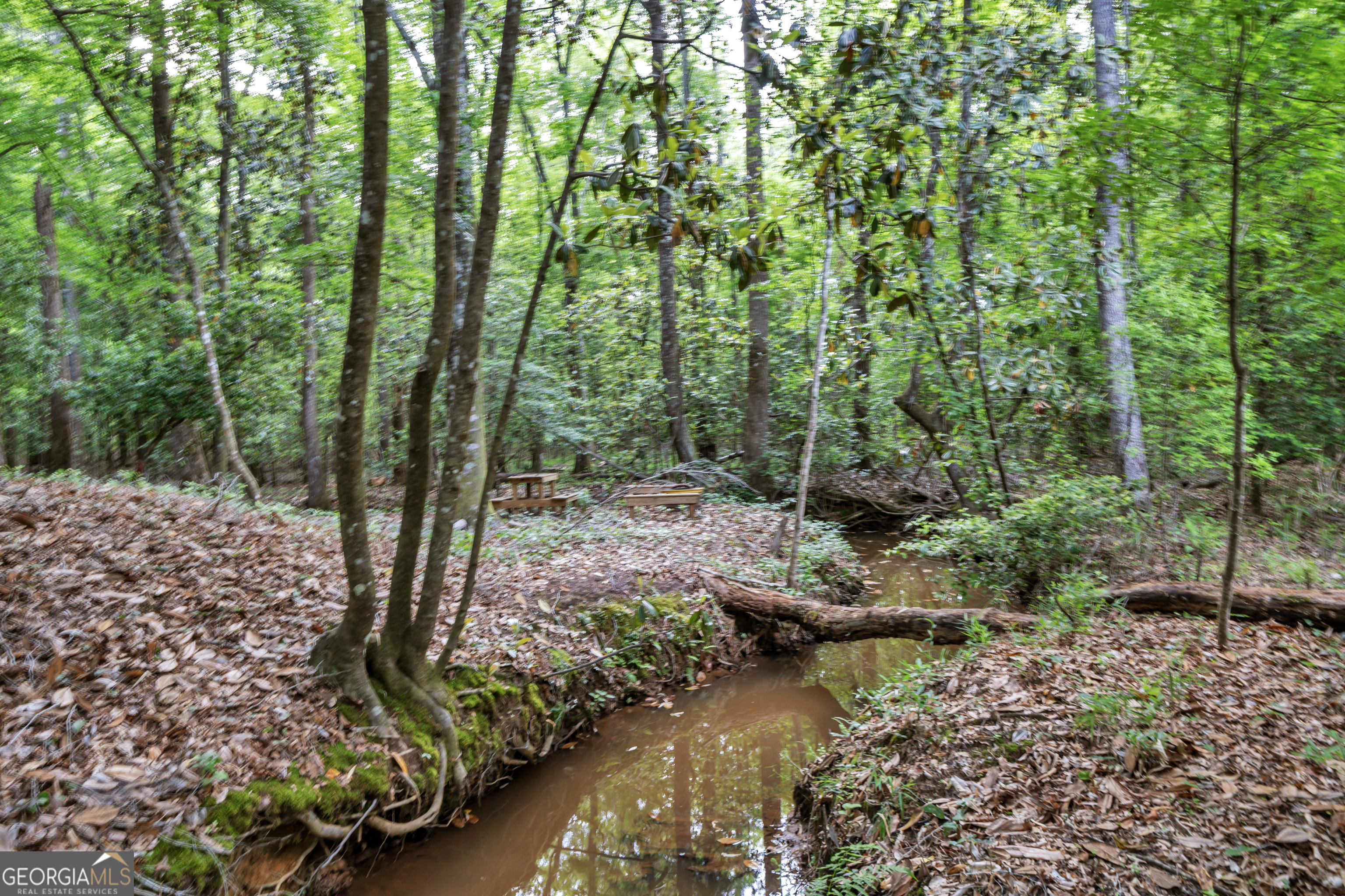 203 Gas Line Road Cuthbert GA 39840
