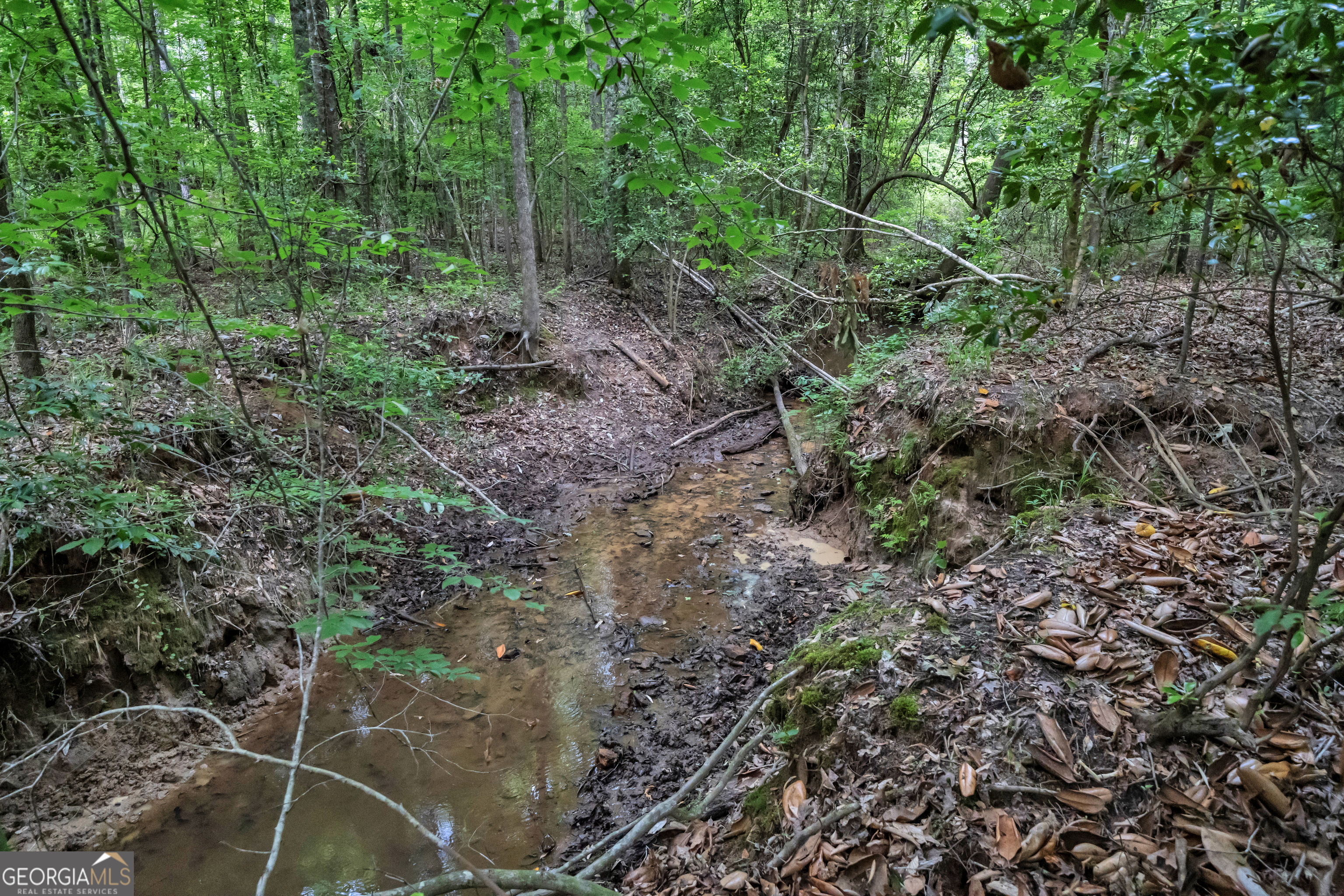 203 Gas Line Road Cuthbert GA 39840