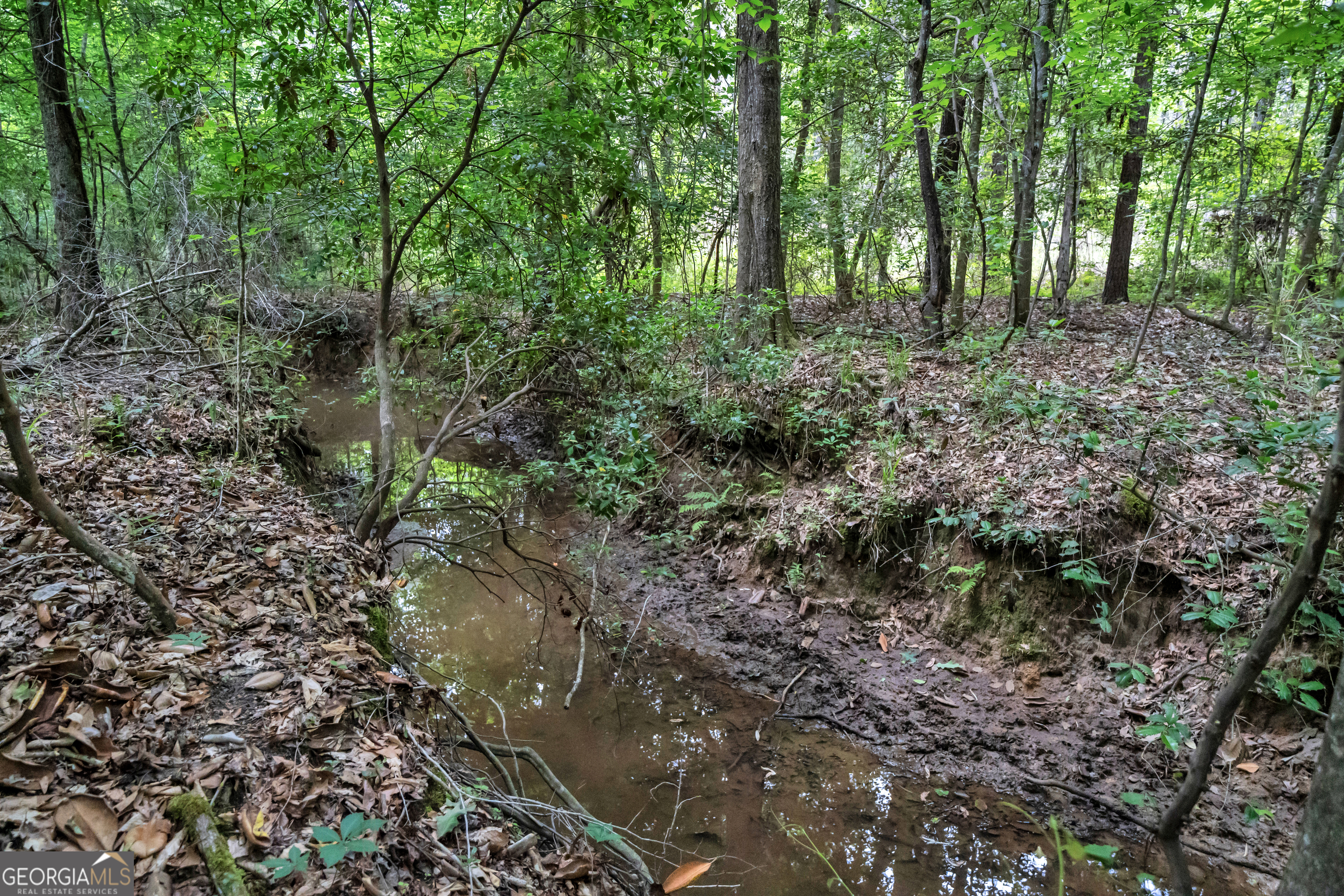 203 Gas Line Road Cuthbert GA 39840
