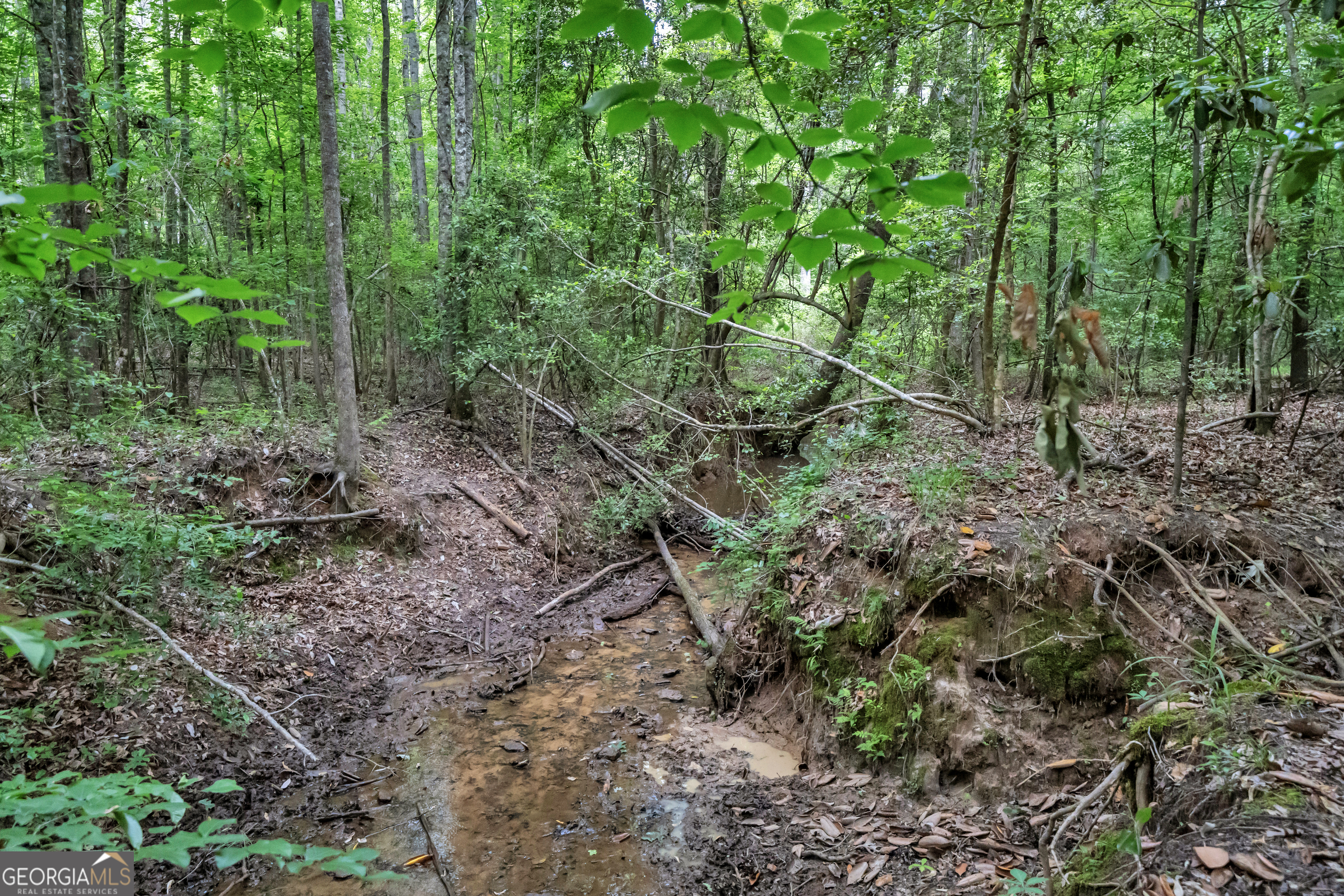 203 Gas Line Road Cuthbert GA 39840