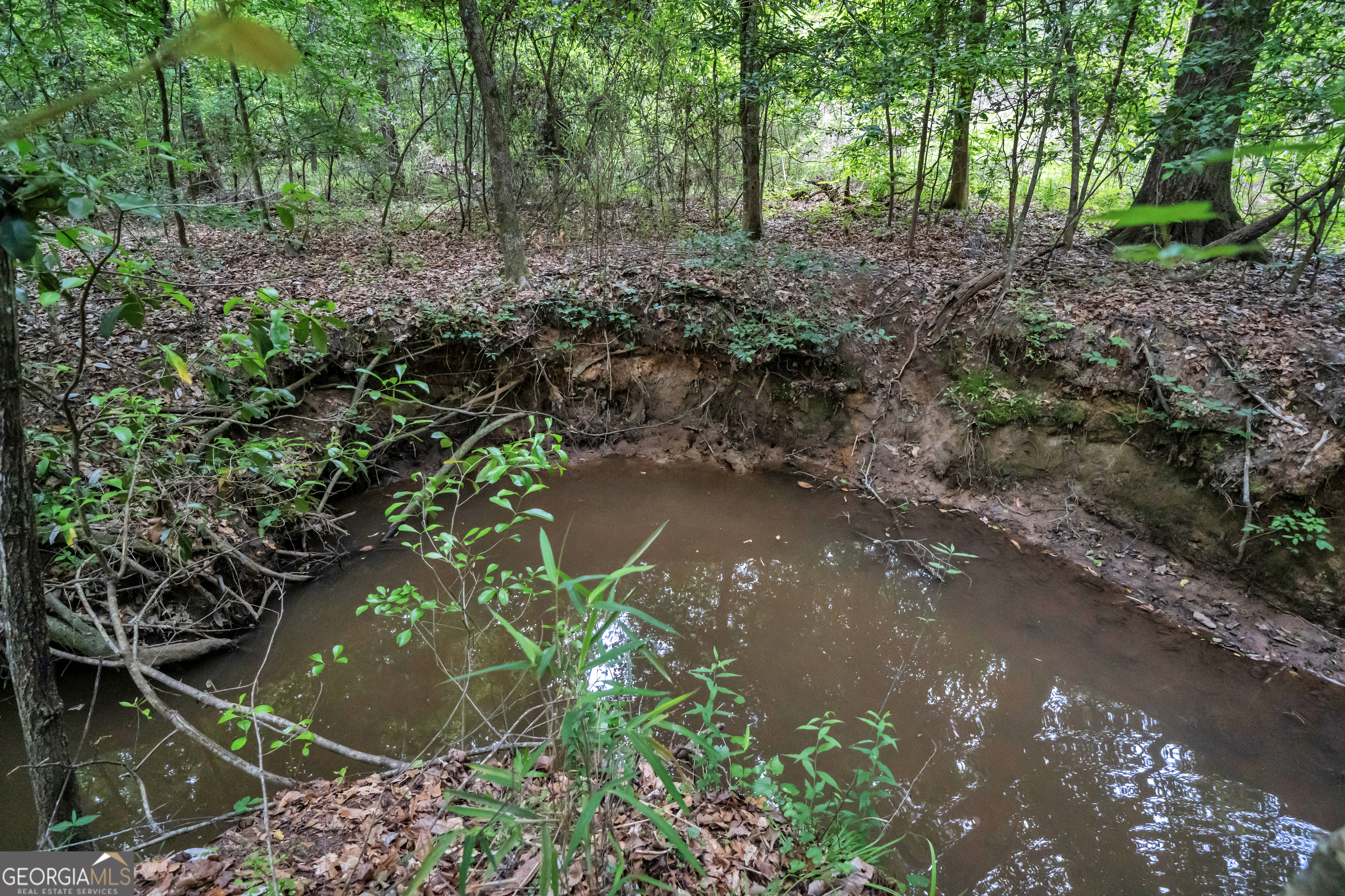 203 Gas Line Road Cuthbert GA 39840