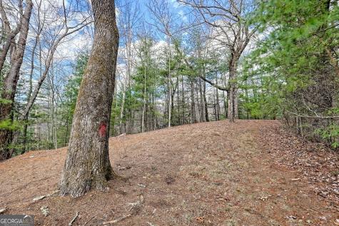 1068 Coleman River Road Clayton GA 30525