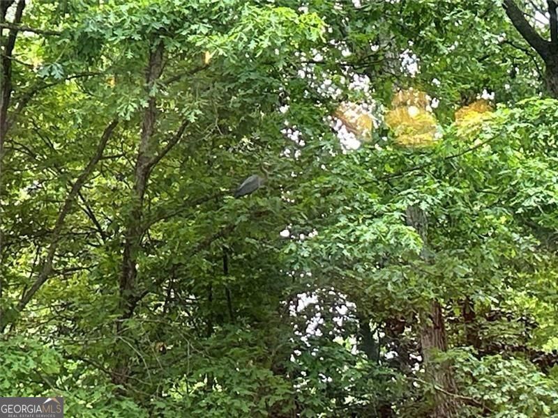 7250 Timber Trail Cumming GA 30041