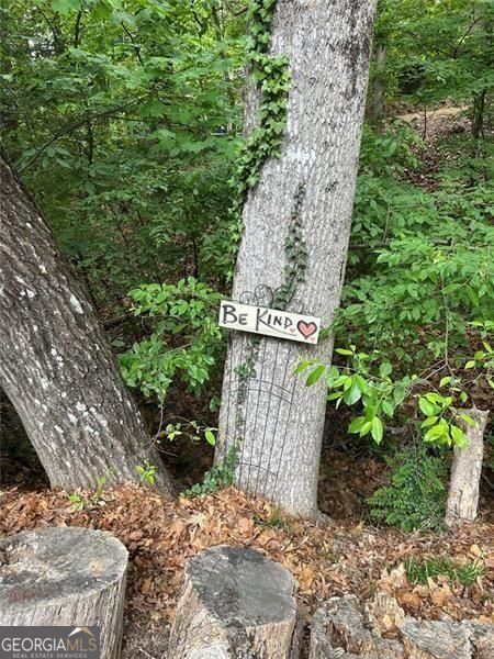 7250 Timber Trail Cumming GA 30041