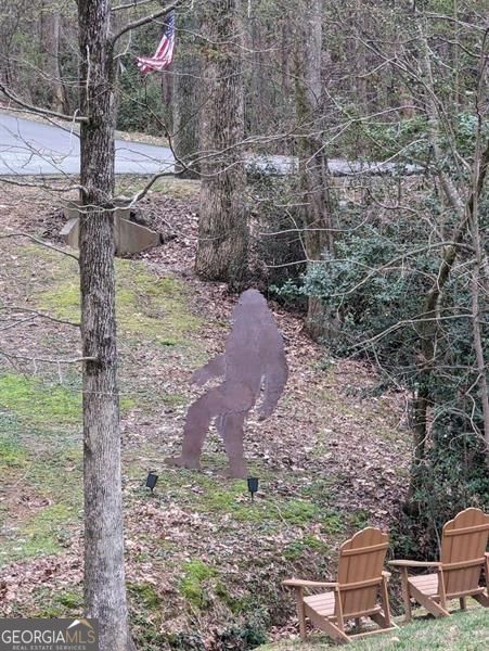 7250 Timber Trail Cumming GA 30041