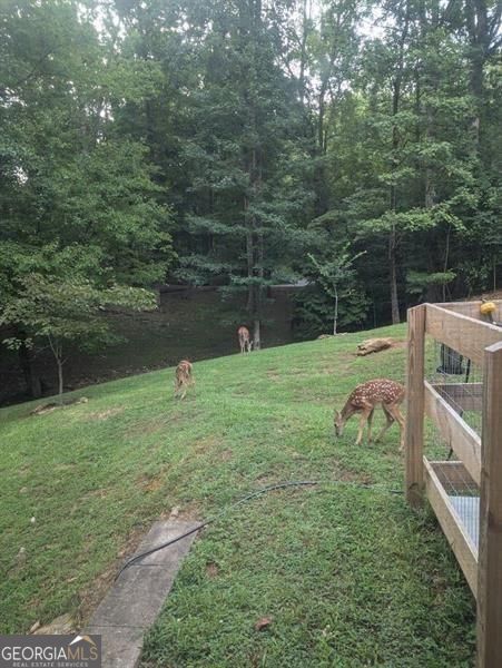 7250 Timber Trail Cumming GA 30041