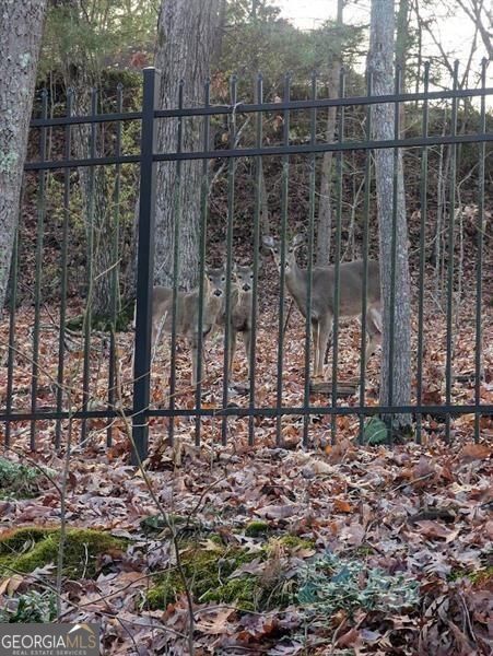 7250 Timber Trail Cumming GA 30041