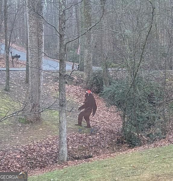 7250 Timber Trail Cumming GA 30041