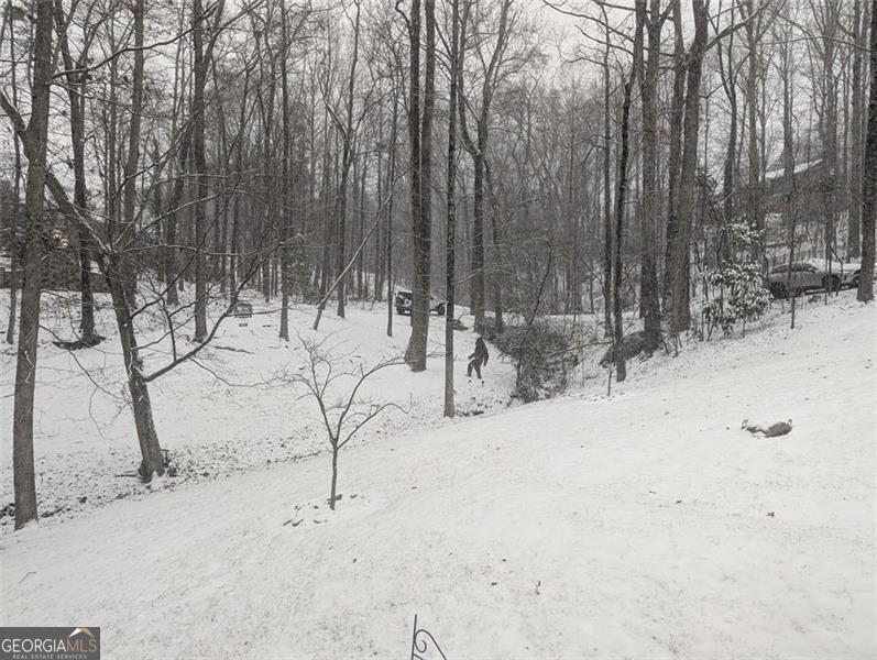 7250 Timber Trail Cumming GA 30041