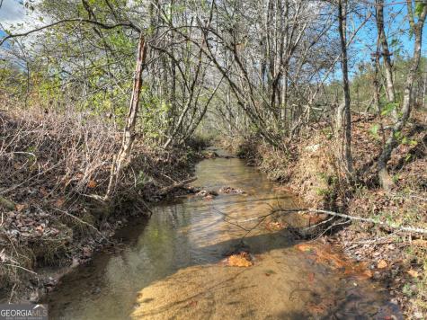 203 Buck Creek Trail Epworth GA 30541