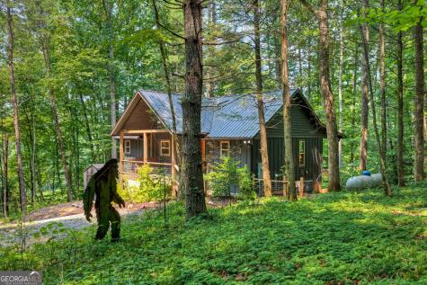 203 Buck Creek Trail Epworth GA 30541