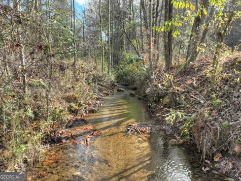 203 Buck Creek Trail Epworth GA 30541