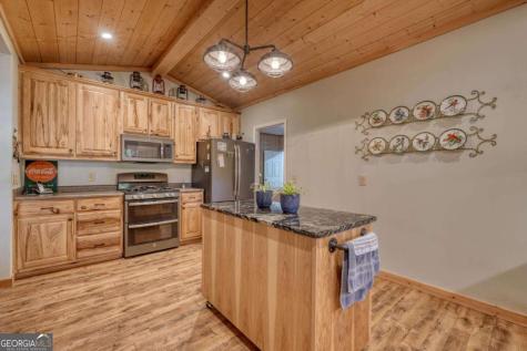 3966 Hickory Nut Drive Hiawassee GA 30546