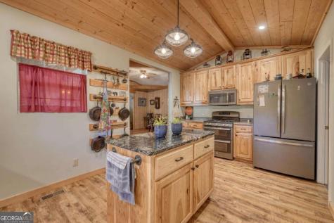 3966 Hickory Nut Drive Hiawassee GA 30546