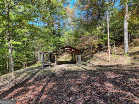 3966 Hickory Nut Drive Hiawassee GA 30546