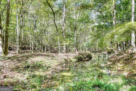3966 Hickory Nut Drive Hiawassee GA 30546