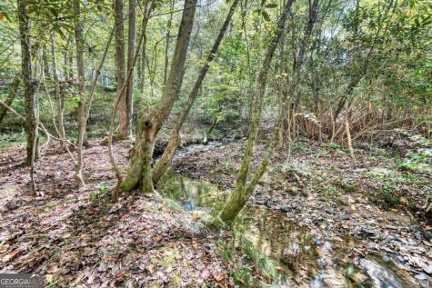 3966 Hickory Nut Drive Hiawassee GA 30546