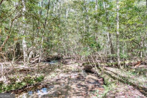 3966 Hickory Nut Drive Hiawassee GA 30546