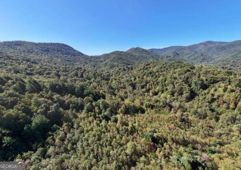 3966 Hickory Nut Drive Hiawassee GA 30546