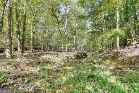 3966 Hickory Nut Drive Hiawassee GA 30546