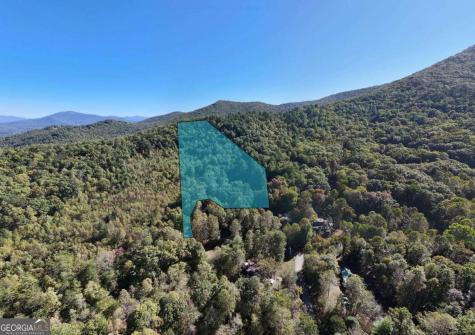 3966 Hickory Nut Drive Hiawassee GA 30546